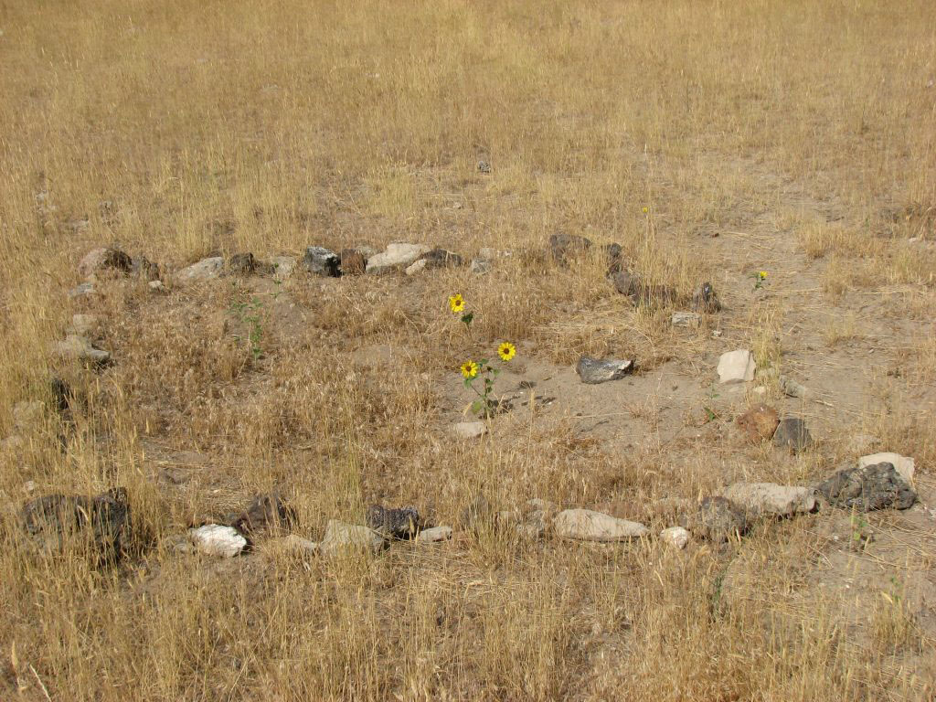 GPR showed 7 bodies in this mass grave